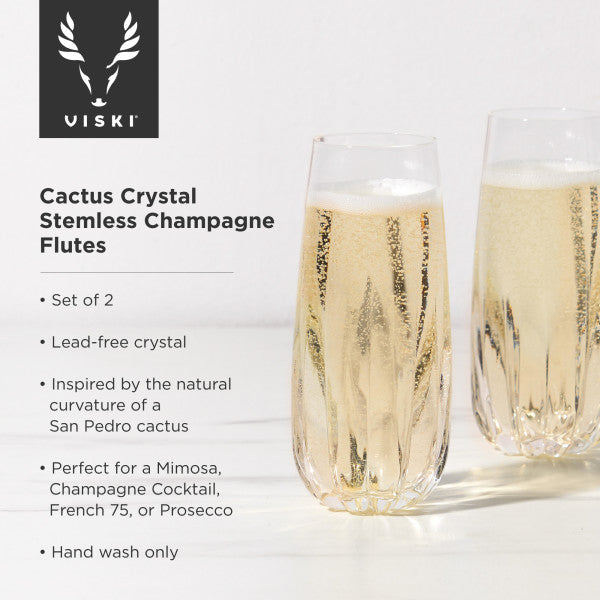 Viski Cactus Crystal Stemless Champagne Flutes