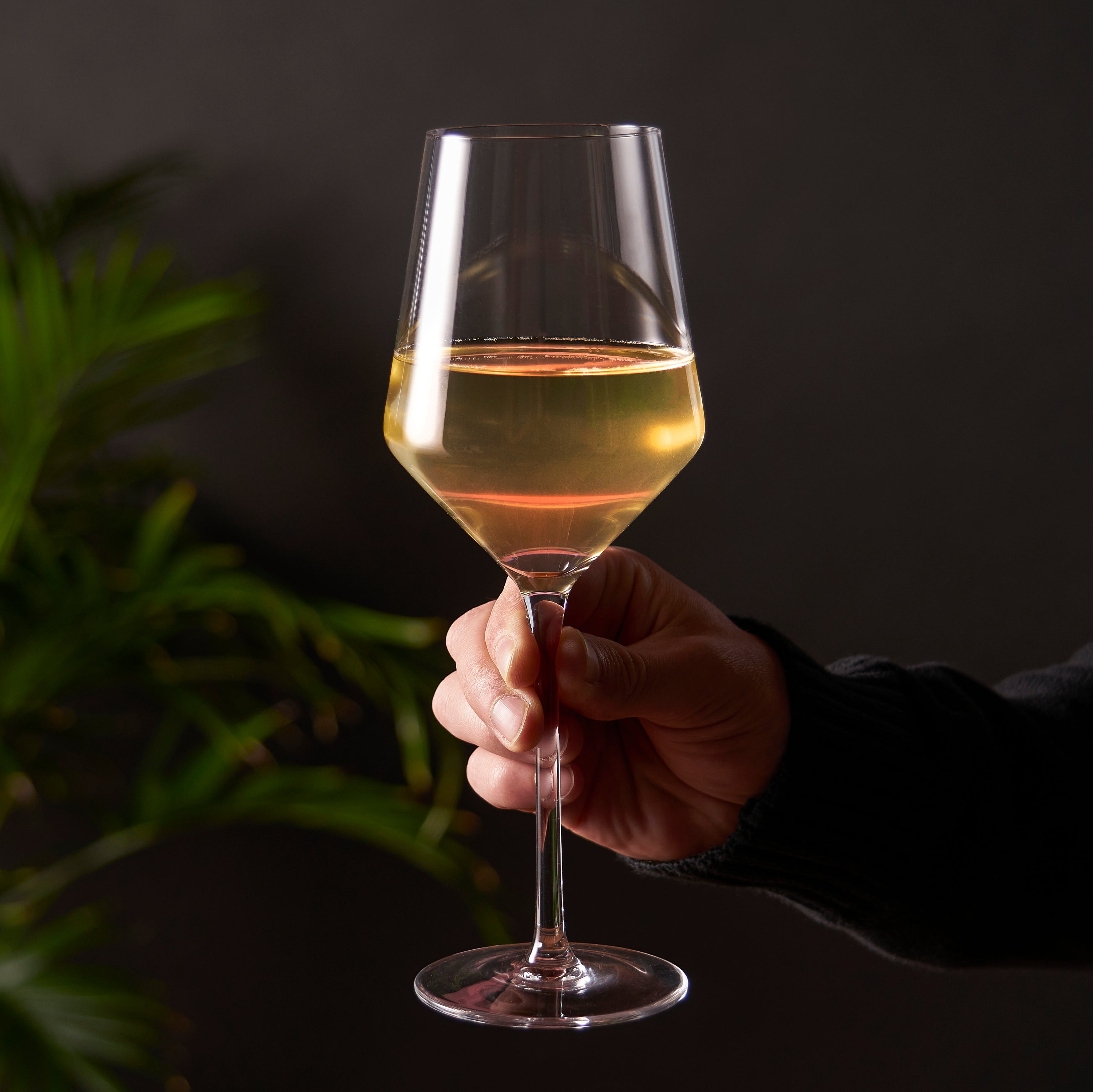 Angled Crystal Chardonnay Glasses by Viski® (4529)