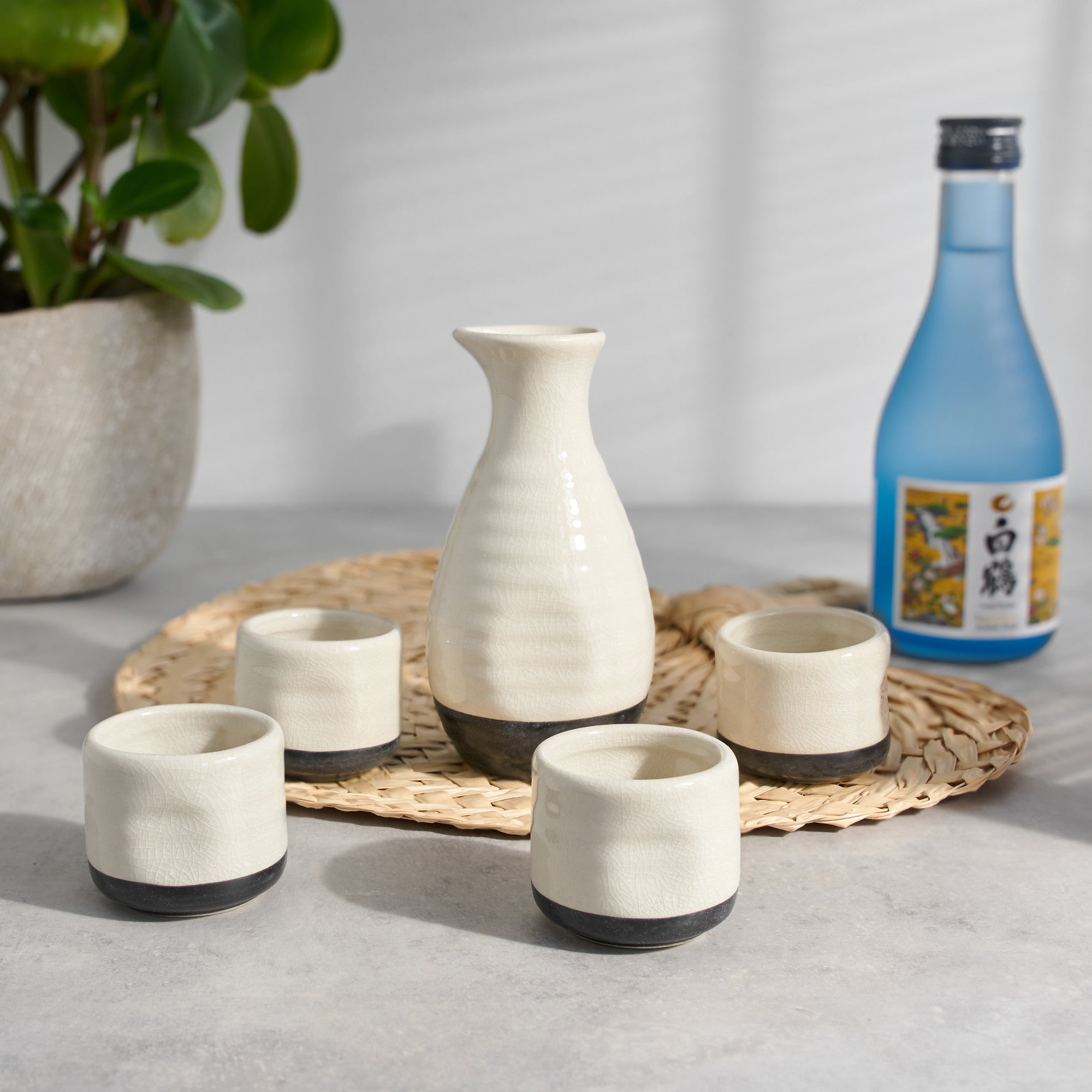 Fervor™: 5-Piece Sake Set (2149) Drinkware True